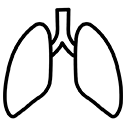 بیماران پنومیا