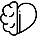 brain